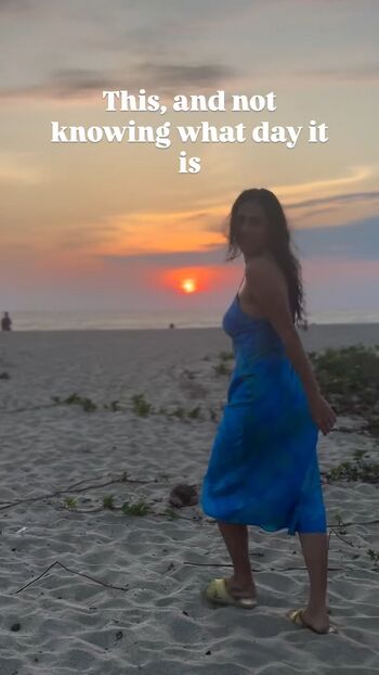 Theitalianlizard image