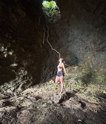 Theitalianlizard image