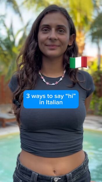 Theitalianlizard image