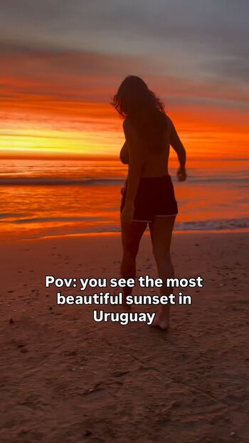 Theitalianlizard image