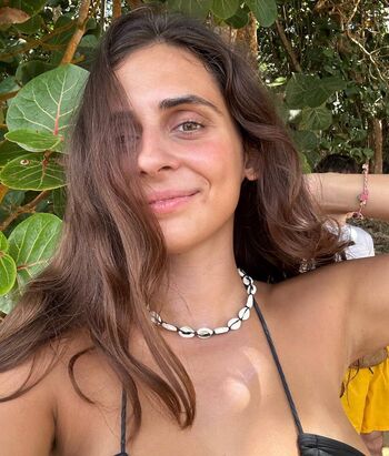 Theitalianlizard image