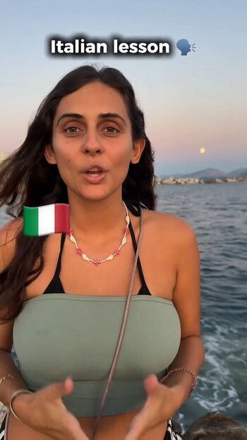 Theitalianlizard image