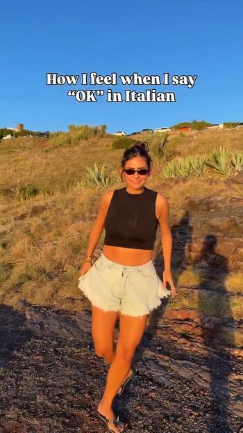 Theitalianlizard image