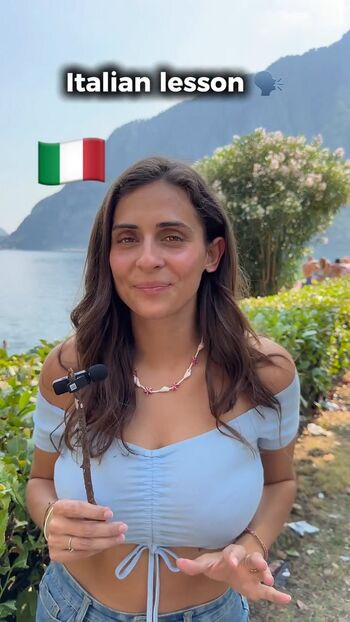 Theitalianlizard image