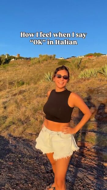 Theitalianlizard image