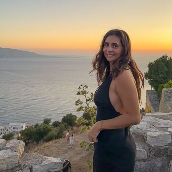 Theitalianlizard image