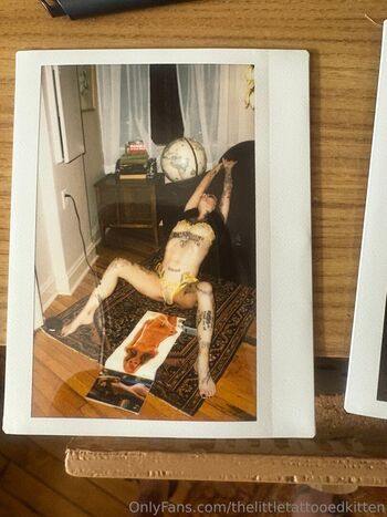 thelittletattooedkitten