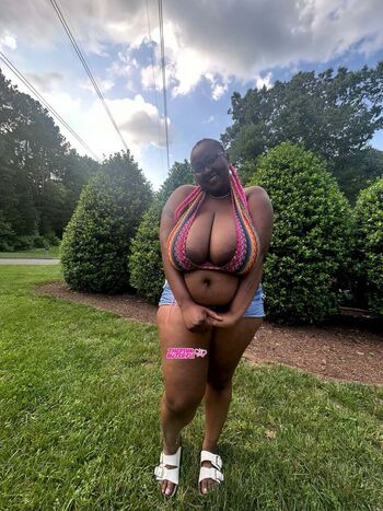 Thepinkbuterfli image