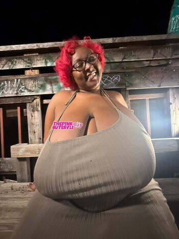 Thepinkbuterfli image
