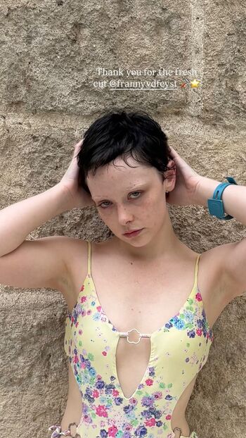 Thestrawberrybutcher image