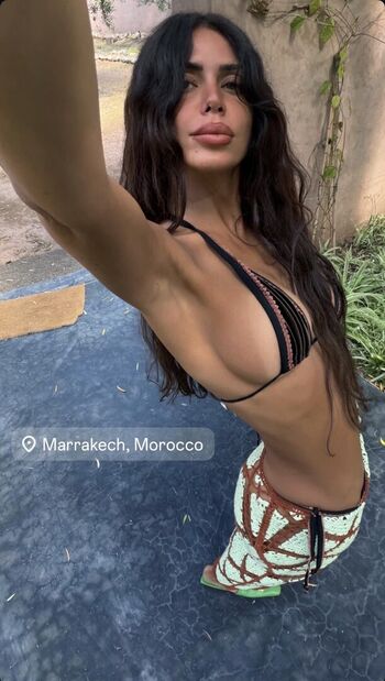 Thetropicalista
