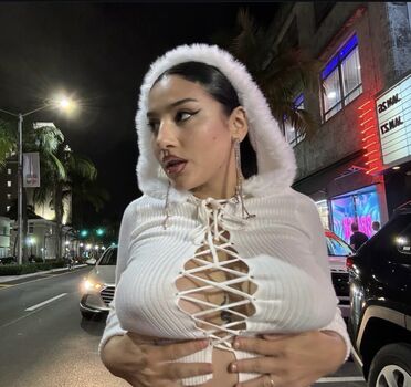 Thevillalobos image