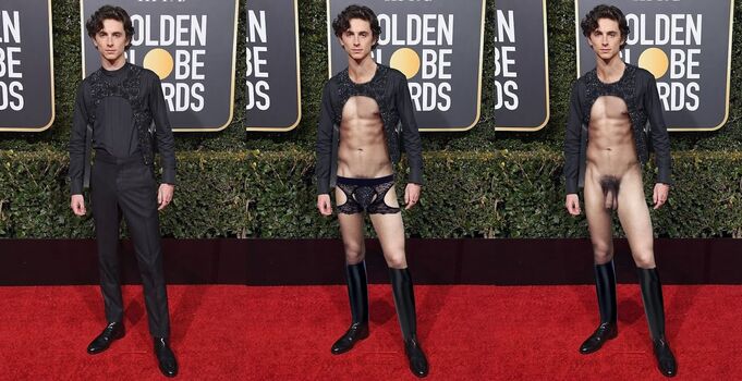 Timothee chalamet image