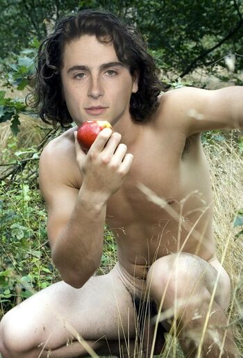 Timothee chalamet image