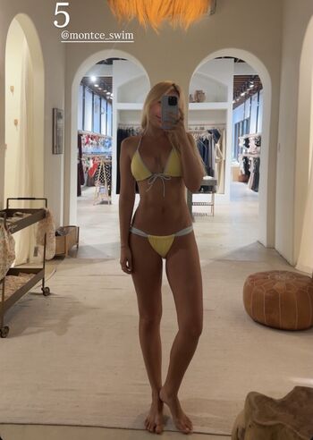 Tommi rose image