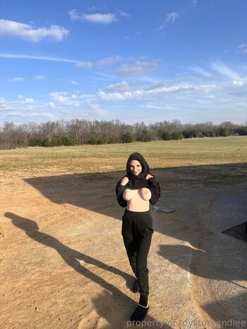 ToyStoryAndiee