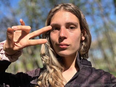 Transenchantress image