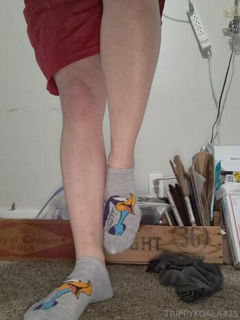 trippykoala425