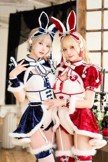 Tsukunetsukimi image