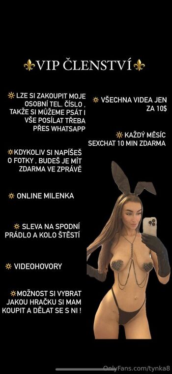 Tynka8 image