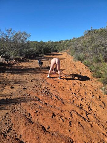 Urbancowgirl619 image