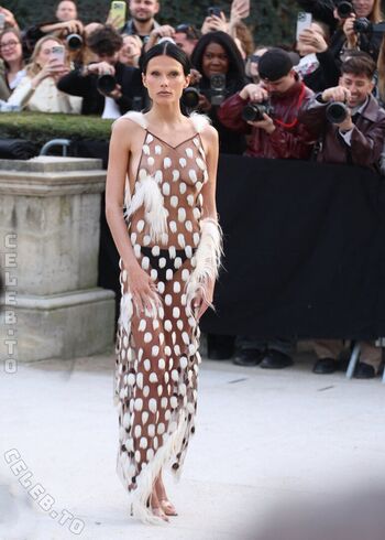 Valentina zenere image