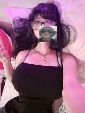 Vampirybatg image