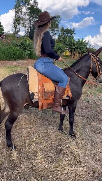 Vanessa araujo image