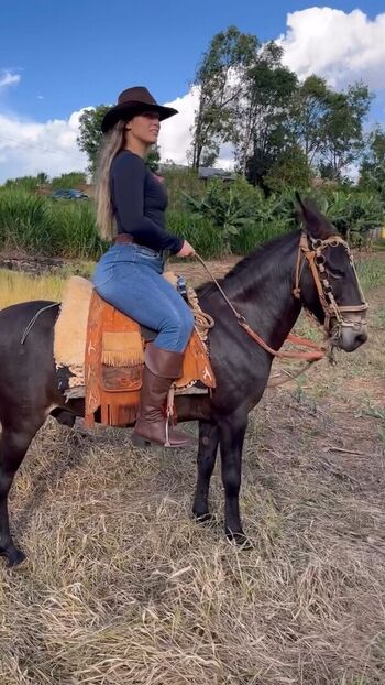 Vanessa araujo image