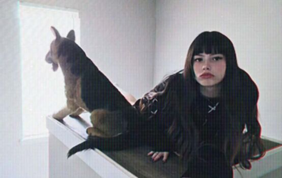 Vannafufu asmr image