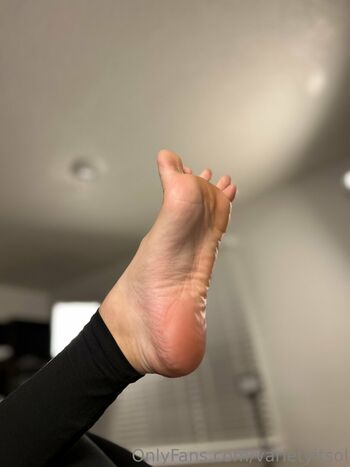 Variety itsol page 6 image