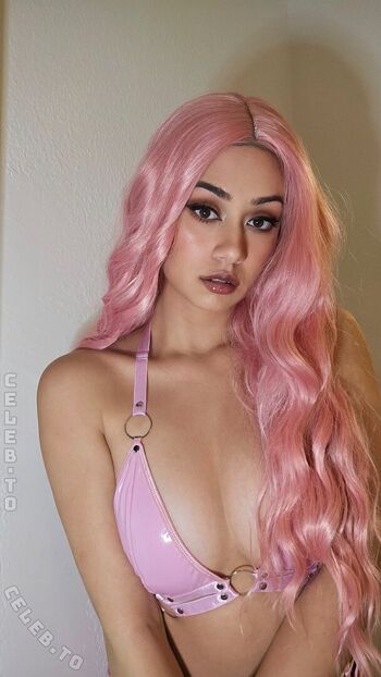 Vdarquise page 2 image