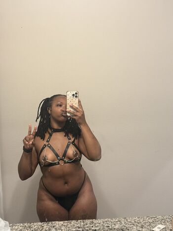 Velvetmuse image