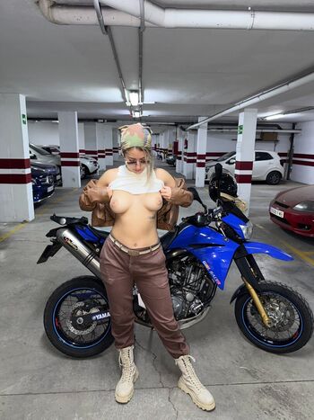 Venusadventures image