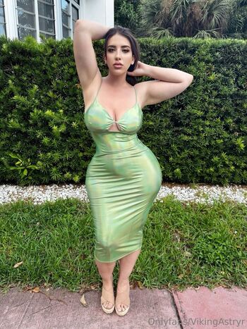 Vikingastryr 1 image