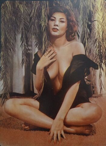 Vintage English Pinups