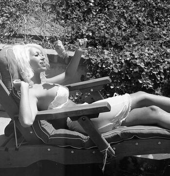 Vintage english pinups image