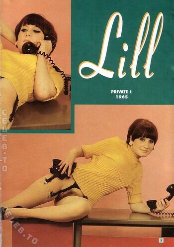 Vintage erwachsenen zeitschriften image