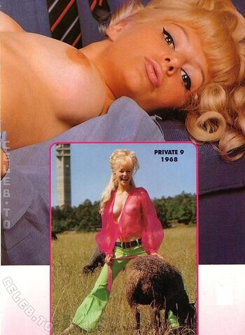 Vintage erwachsenen zeitschriften image