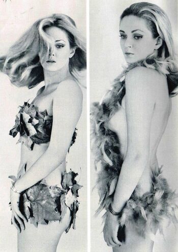 Vintage starlets page 10 image