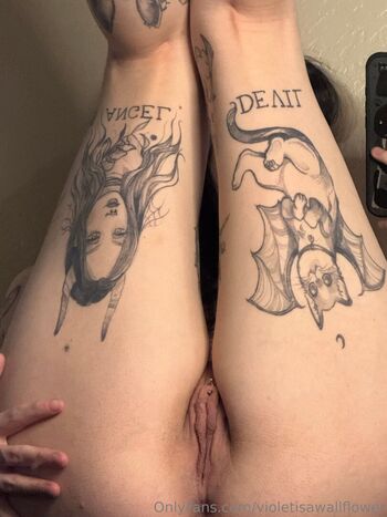 Violetisawallflower 1 image