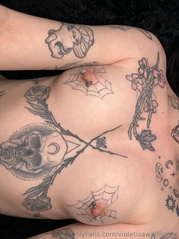 Violetisawallflower 1 image