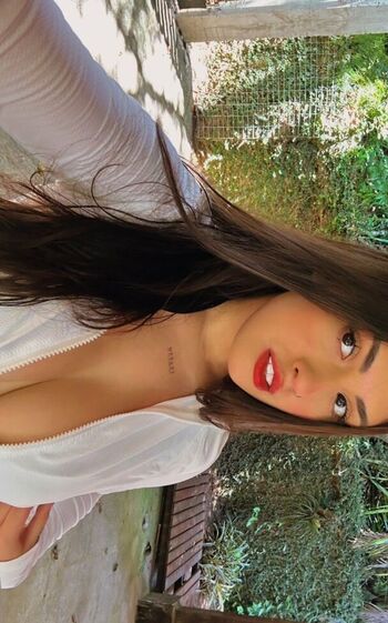 Vitria marclio image