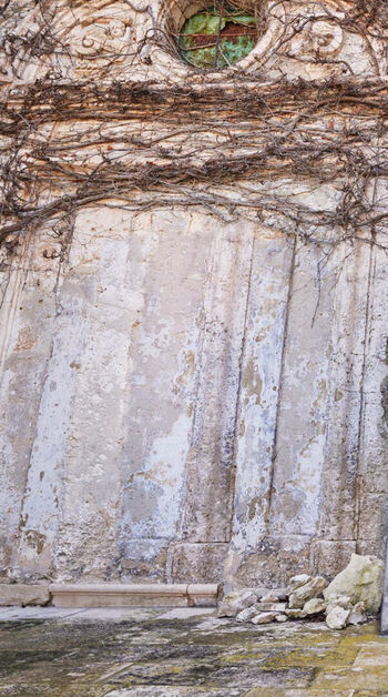 Vittoria ceretti image