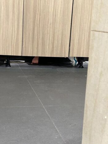 Voyeur Asian Pissing Toilet &Amp; Upskirts Only