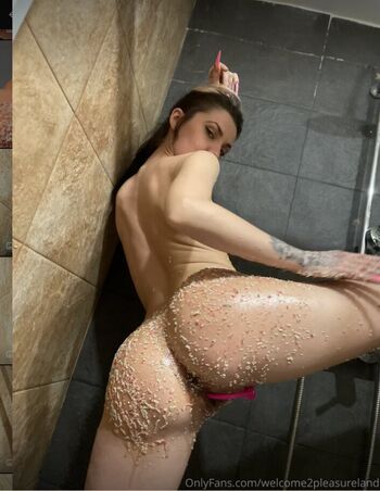 Welcome2pleasureland image