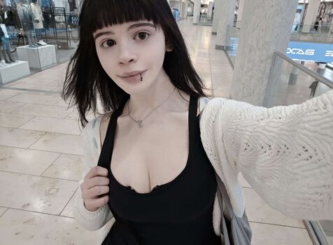 Wheybunny image