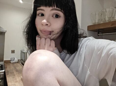 Wheybunny image