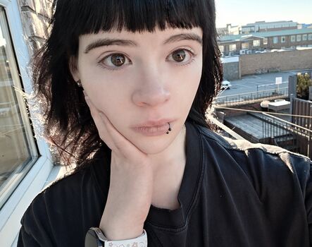 Wheybunny image