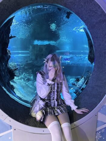 Whimsilux image
